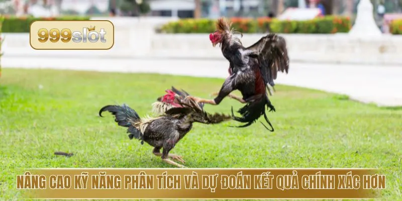 Nâng cao kỹ năng phân tích và dự đoán kết quả chính xác hơn
