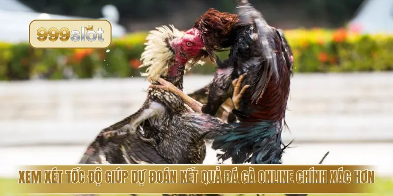 Xem xét tốc độ giúp dự đoán kết quả đá gà online chính xác hơn
